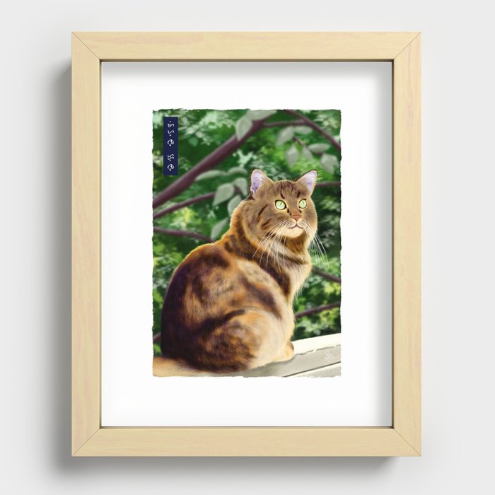 Maine Coon - White Recessed Framed Print