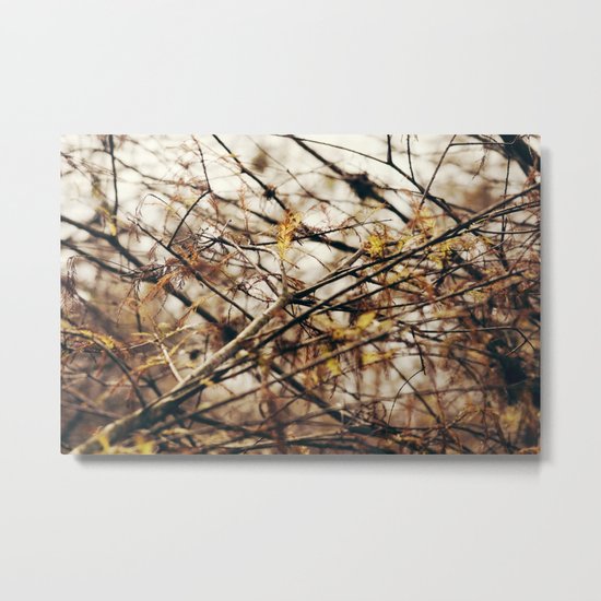 Tangled Metal Print