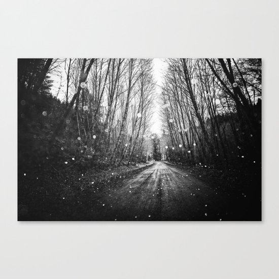 Follow the Fireflies Canvas Print
