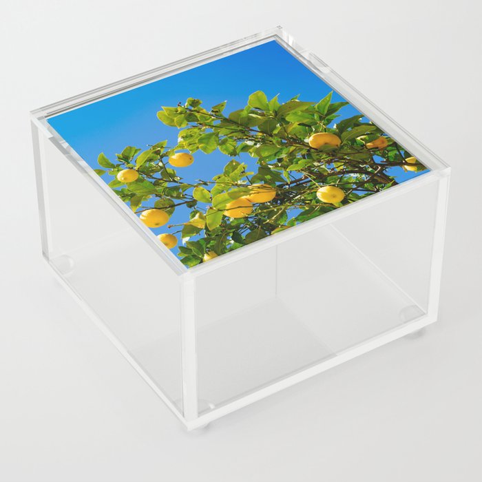 Summer Lemon Tree, Blue Sky Acrylic Box