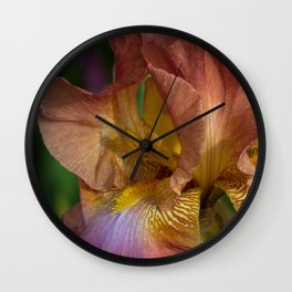 Iris Dreams Wall Clock | Horticulture, Plant, Blossom, Beardediris, Flower, Flag, Garden, Digital, Colorful, Herbaceous 