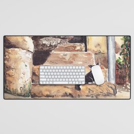 Odessa. Cat in the yard Desk Mat