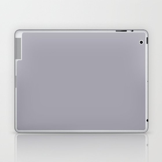 Pewter Laptop & iPad Skin