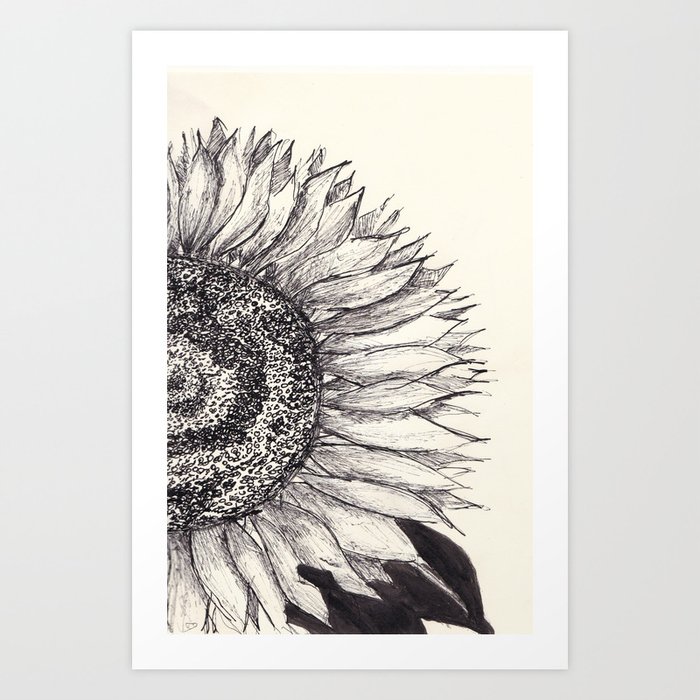 Sunflower Black And White Vintage Monocrom Minimal Art Fine Line Art ...