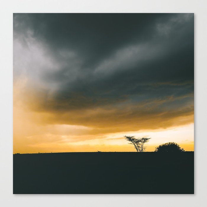 South Africa Photography - The Silhouette Of A Savannah Canvas Print