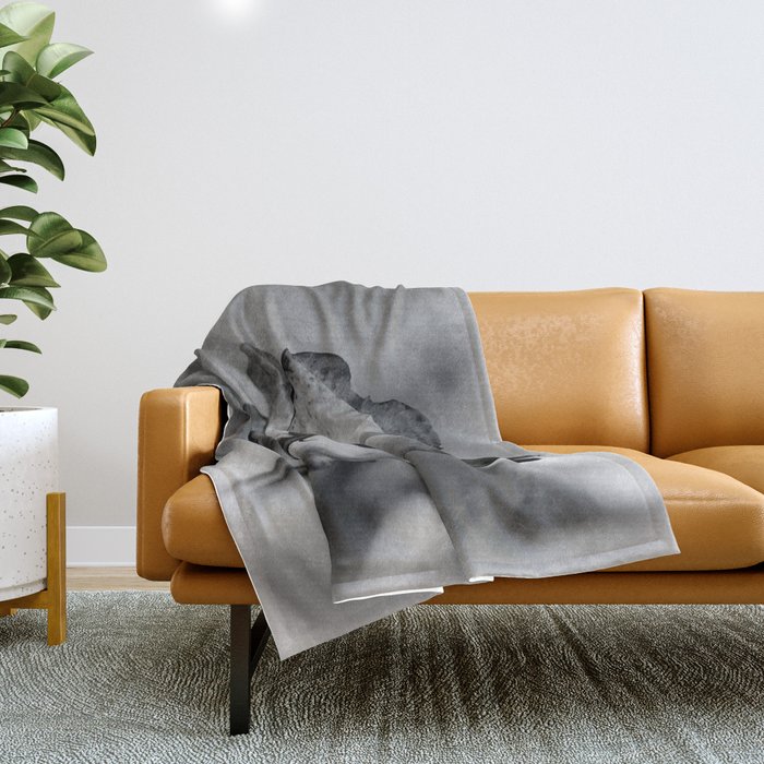 Delicate transparency Throw Blanket