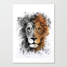 Two Face Lion  Canvas Print