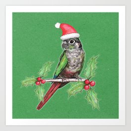 Christmas green cheeked conure Art Print