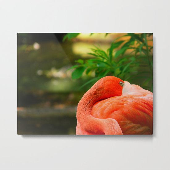Tucked Away Metal Print