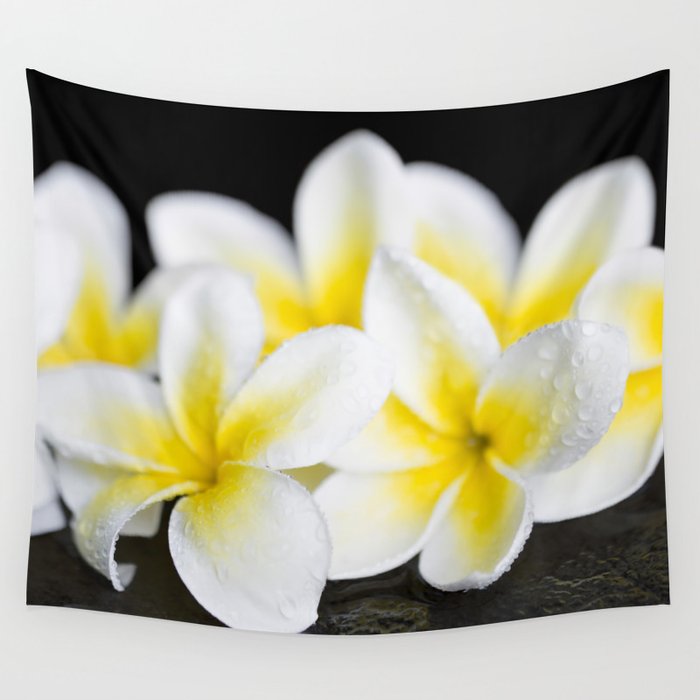 Plumeria obtusa Singapore White Wall Tapestry