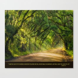 Road of Life Canvas Print