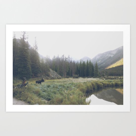 Morning Meadow Moose Art Print