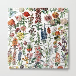 Fleur, the classic Vintage Flowers Chart by Adolphe Millot Metal Print