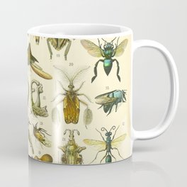 Adolphe Millot "Insectes" Nouveau Larousse 1905 Coffee Mug