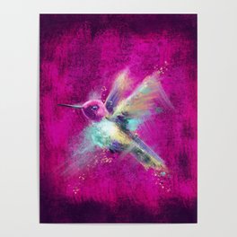 Kolibri Poster