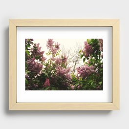 Lilacs Recessed Framed Print