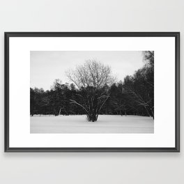 Lone tree Framed Art Print