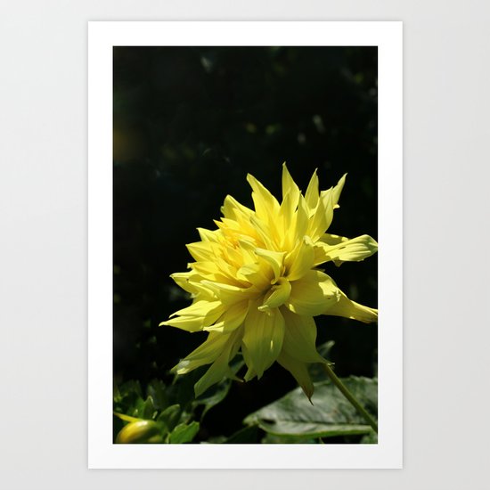 Yellow Passion Art Print