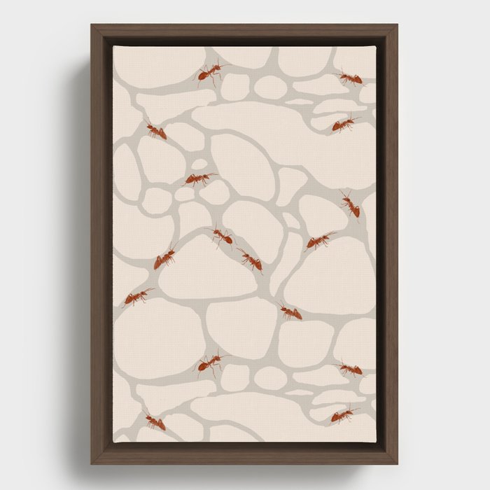 Ant Habitat Framed Canvas