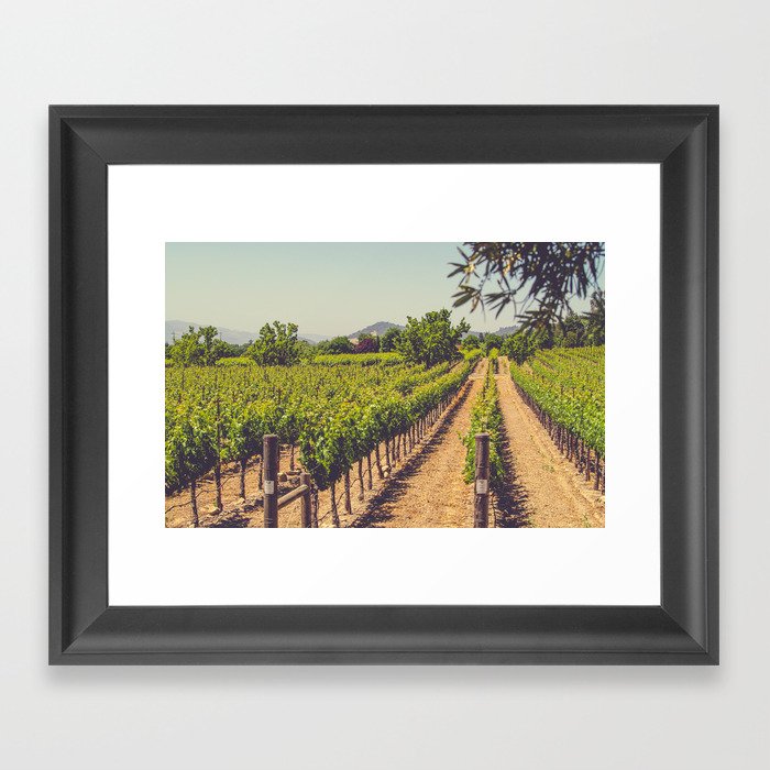 Vineyards 3 Framed Art Print