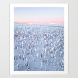 Frozen Forest | Aerial Drone Art Print