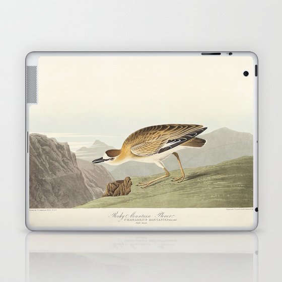 Rocky Mountain Plover from Birds of America (1827) by John James Audubon Laptop & iPad Skin