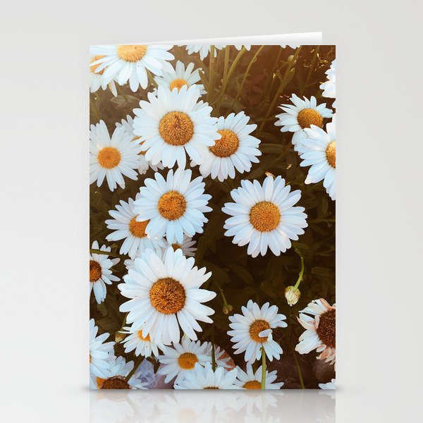 Pushing Daisies Stationery Cards