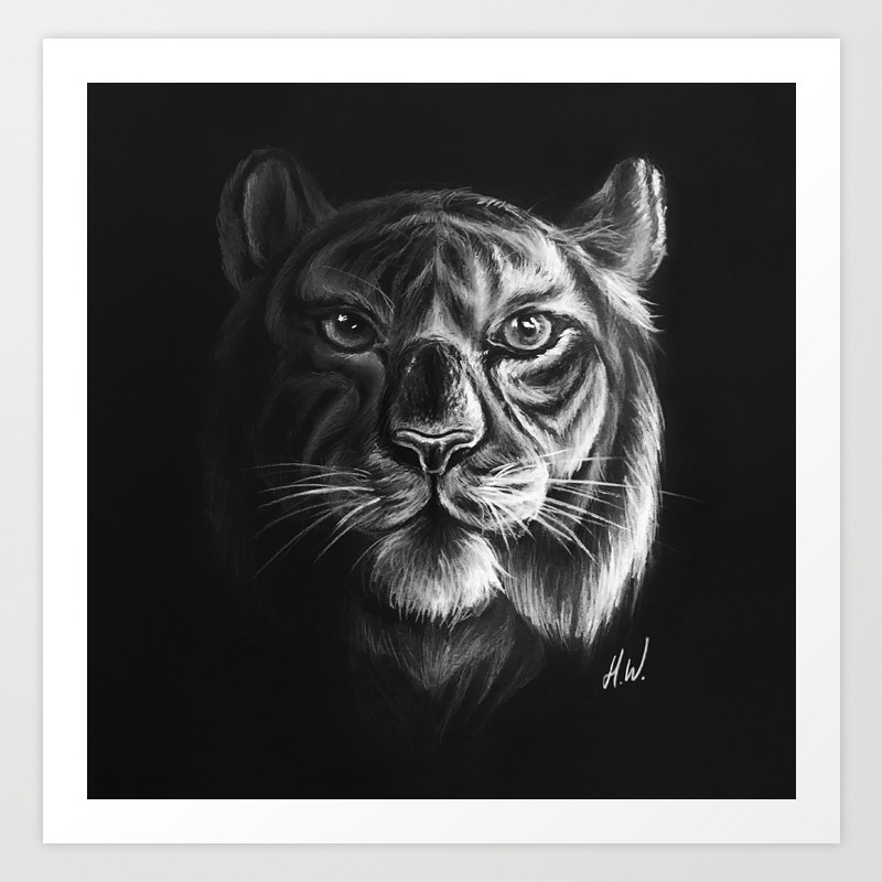 White Tiger Drawing Art Print By Heidiwongofficial Society6