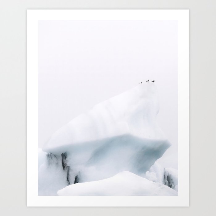 Birds on an Iceberg in Iceland– Monochrome Minimalism  Art Print