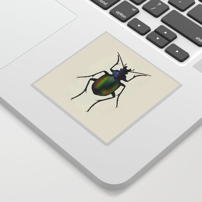 Calosoma Bug Sticker