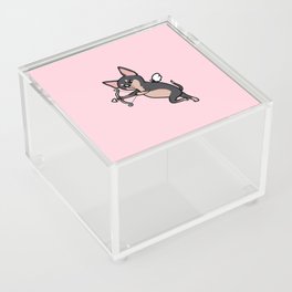 Chihuahua Cupid Acrylic Box