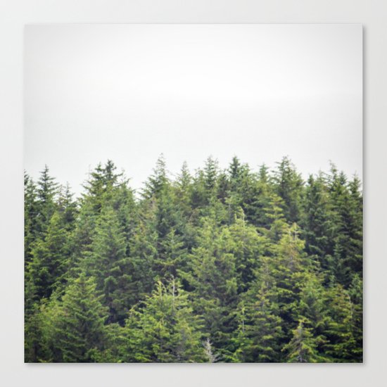 Verdant Tree Tops Canvas Print