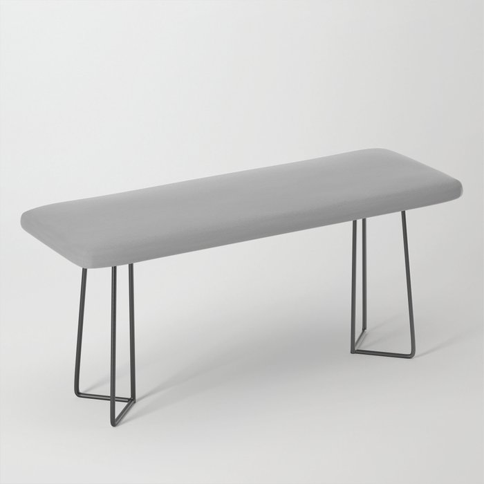 Silver Chalice Grey Solid Color Popular Hues Patternless Shades of Gray Collection Hex #acacac Bench