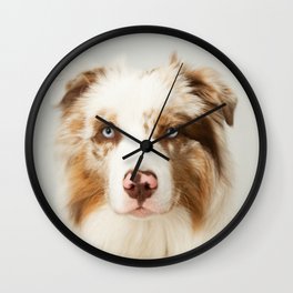 aussie red merle Wall Clock