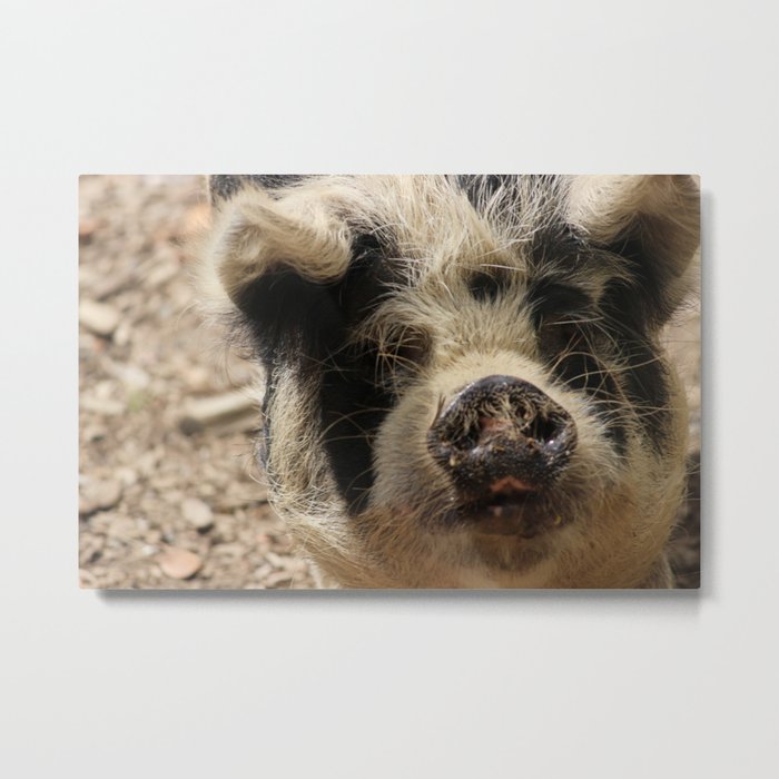A Face that Only a Mother Could Love Metal Print