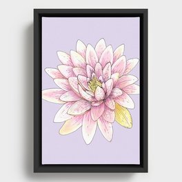 Pink Lotus Flower Framed Canvas