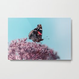 Red admiral butterfly on pink flowers - Nature photography by Margriet Verkuijlen Metal Print | Butterflies, Nature, Floral, Summer, Flower, Macro, Color, Digital, Butterfly, Nature Photography 