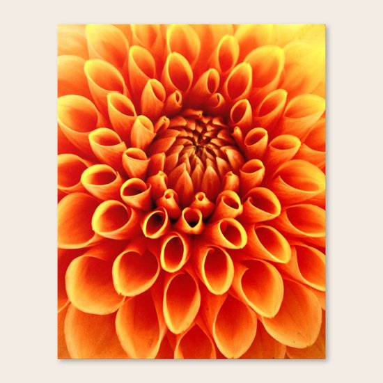 SYMMETRY Canvas Print