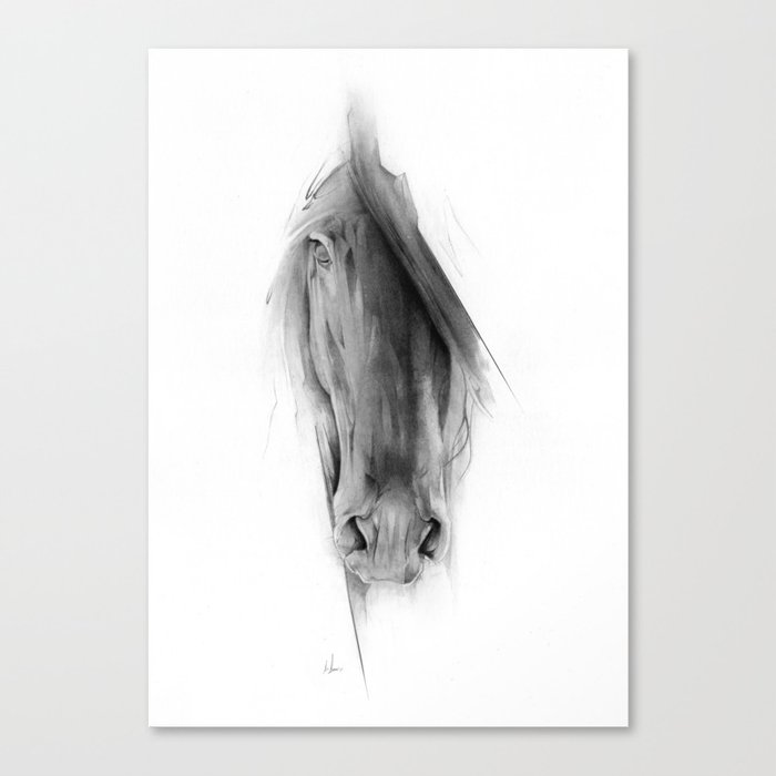 Horse 2023 Canvas Print