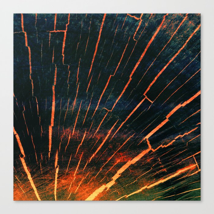 black and orange timber heartwood Canvas Print