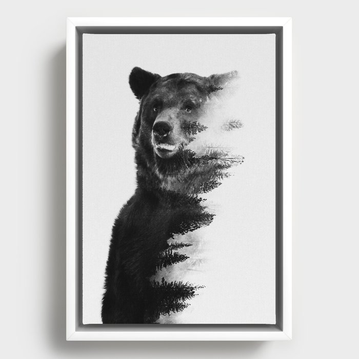 Observing Bear Framed Canvas