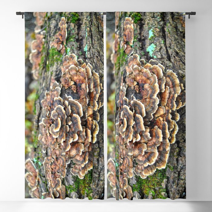 Fungus in the Woods Blackout Curtain