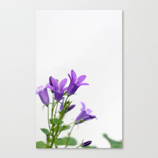PURPLE FLOWERS - Bellflowers #1 #decor #art #society6 Canvas Print
