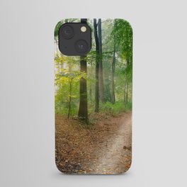Window Tapestries Style iPhone Case