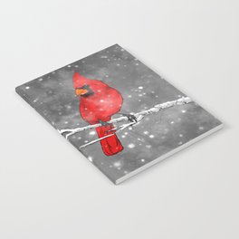 Cardinal in the Snow Notebook