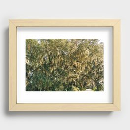 Savannah National Wildlife Refuge Recessed Framed Print