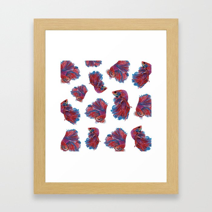 Ocean Theme- Red Blue Betta Fish Framed Art Print
