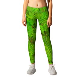 ABSTRACTED  GREEN  TROPICAL FERNS GARDEN ART Leggings | Fernglades, Greencolor, Abstract, Forestplants, Greenferns, Home, Acrylic, Digital, Colored Pencil, Patioart 