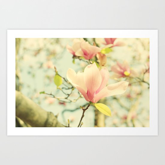 Spring Magnolias Art Print