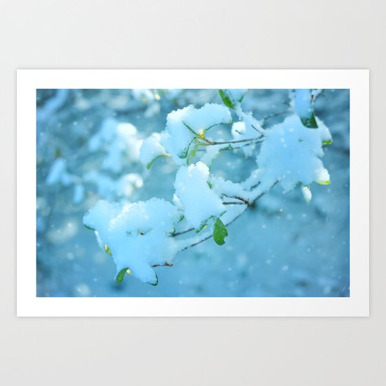 Winter's Bough Art Print